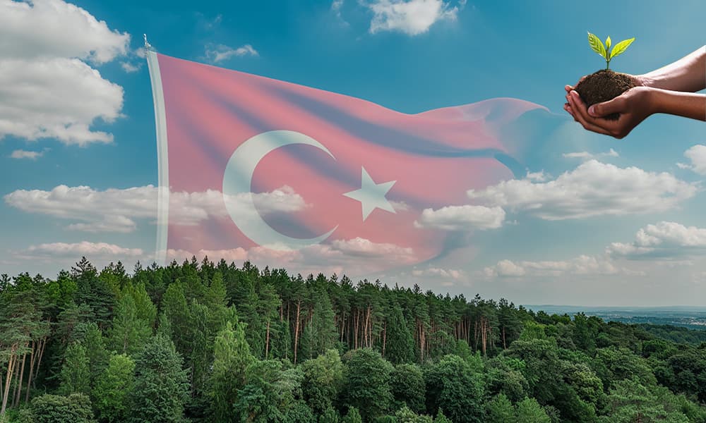 Fidan Bağışı - Türkiye