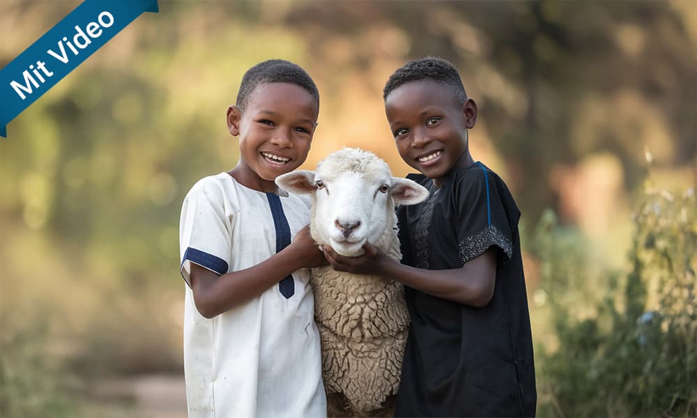 ila